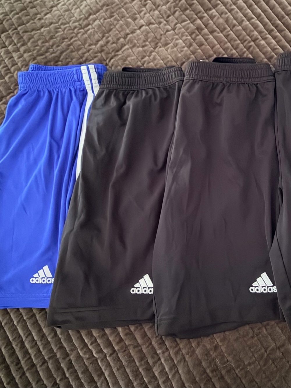 Adidas Boy’s Aero Ready Shorts in Black and Royal Blue.